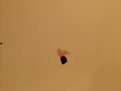 Pleasantville在线观看,穿越时空的彩色小镇奇幻之旅 第3张 Pleasantville在线观看,穿越时空的彩色小镇奇幻之旅 第3张